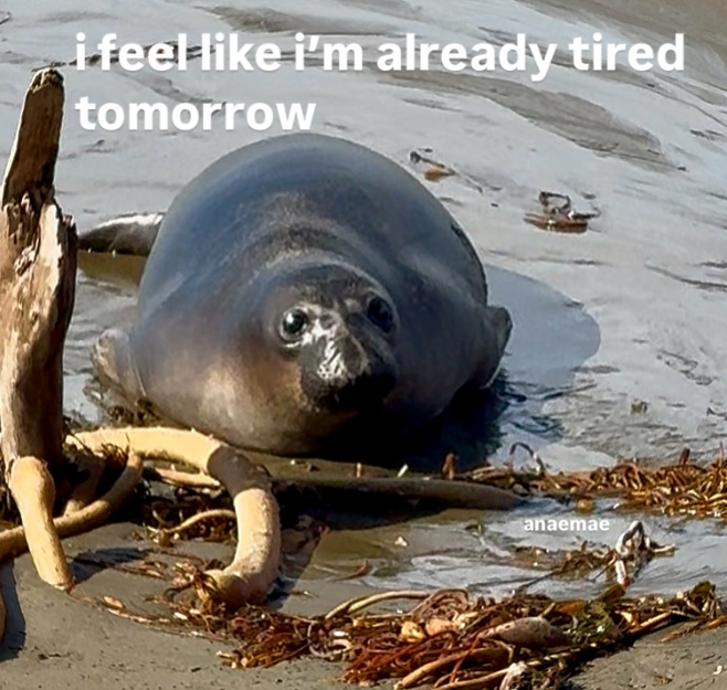 i feel like i'm already tired tomorrow anaemae