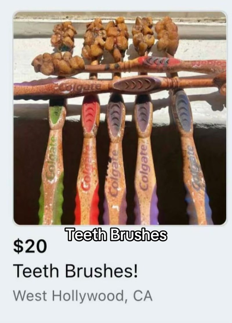 Colgate Colgate Colgate $20 Teeth Brushes Teeth Brushes! West Hollywood, CA