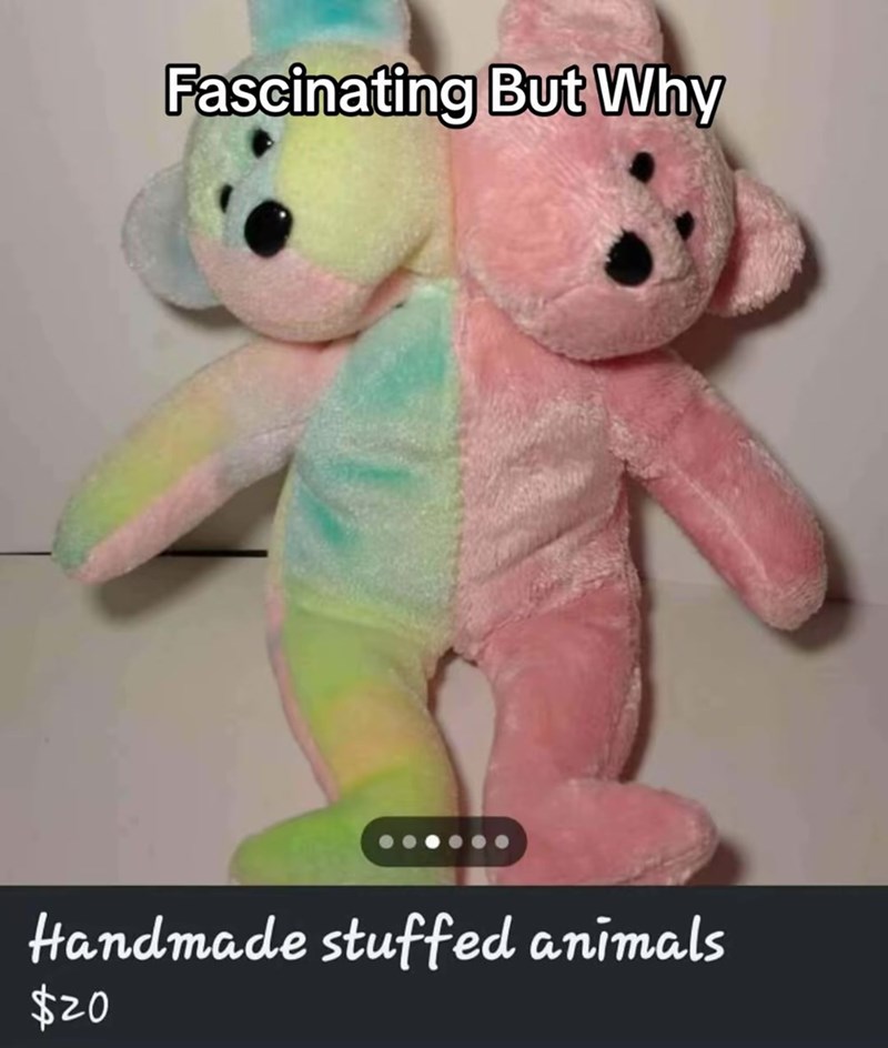 Fascinating But Why Handmade stuffed animals $20