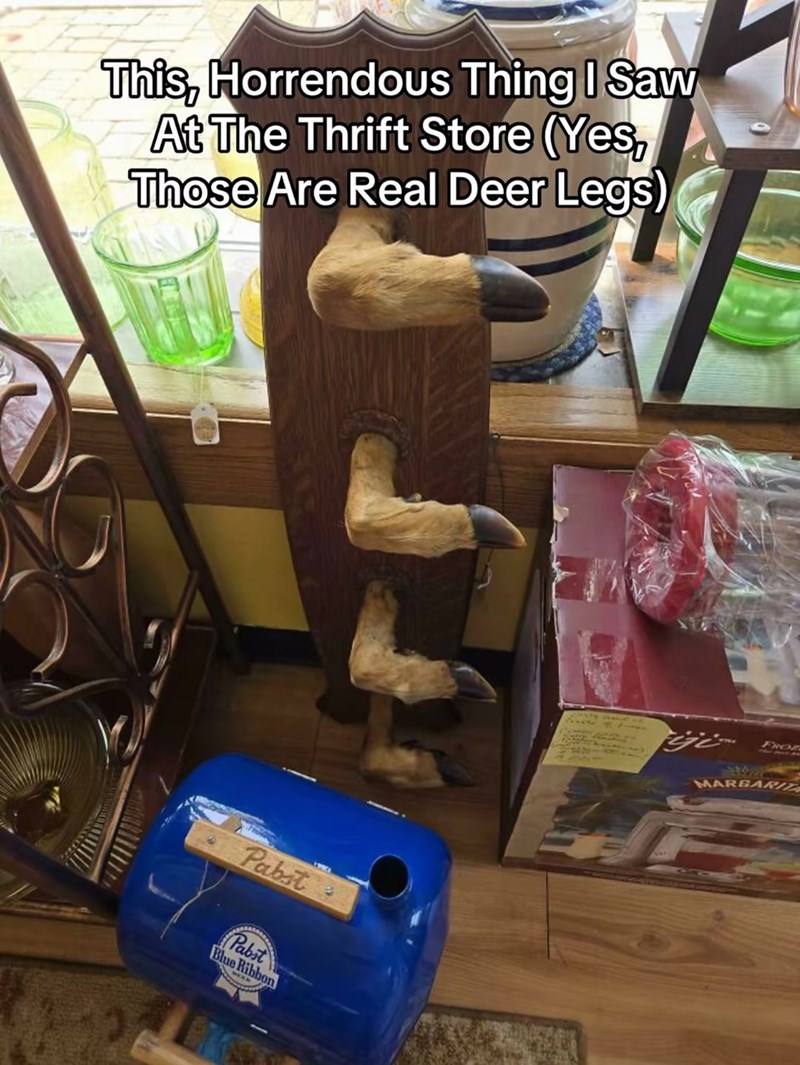 This, Horrendous Thing I Saw At The Thrift Store (Yes, Those Are Real Deer Legs) Pabst Pabst Blue Ribbon FROZ MARGARIT