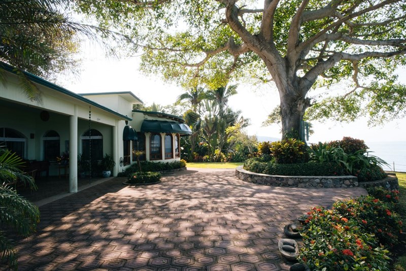 A big house front yard with a big tree and a ocean facing view.