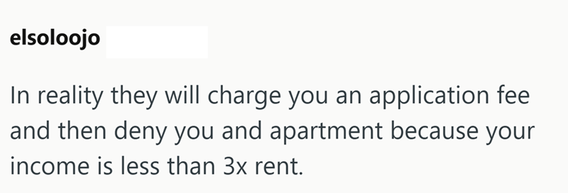 elsoloojo In reality they will charge you an application fee and then deny you and apartment because your income is less than 3x rent.