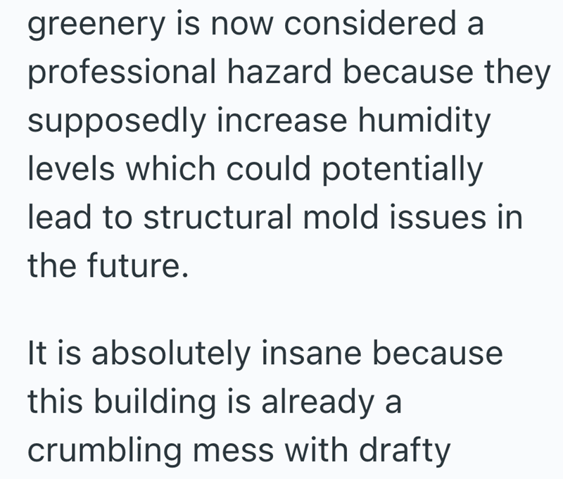 greenery is now considered a professional hazard because they supposedly increase humidity levels which could potentially lead to structural mold issues in the future. It is absolutely insane because this building is already a crumbling mess with drafty