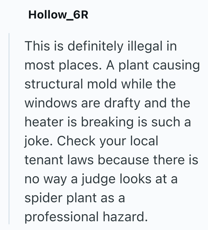 Hollow_6R This is definitely illegal in most places. A plant causing structural mold while the windows are drafty and the heater is breaking is such a joke. Check your local tenant laws because there is no way a judge looks at a spider plant as a professional hazard.