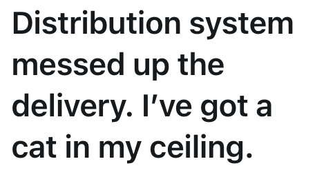 Distribution system messed up the delivery. I've got a cat in my ceiling.