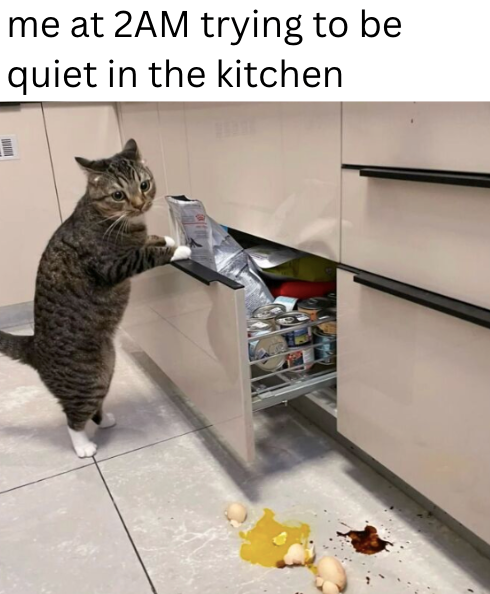 me at 2AM trying to be quiet in the kitchen