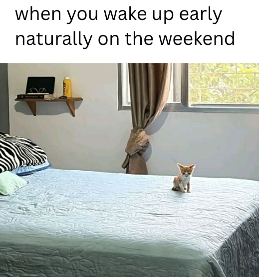 when you wake up early naturally on the weekend