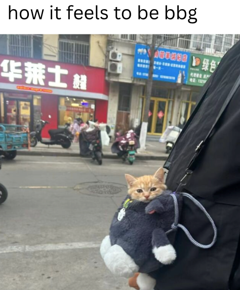 how it feels to be bbg 超美图 绿色 KEES AP 华莱士