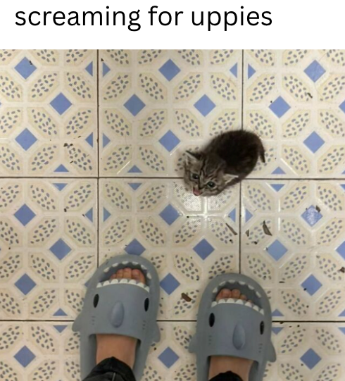 screaming for uppies