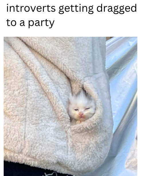 introverts getting dragged to a party