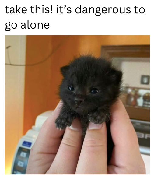 take this! it's dangerous to go alone