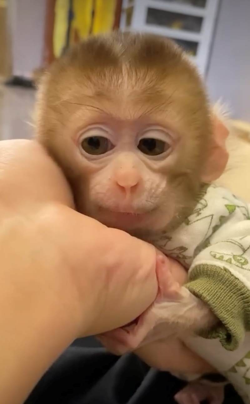 Cheezburger Image 10628067840