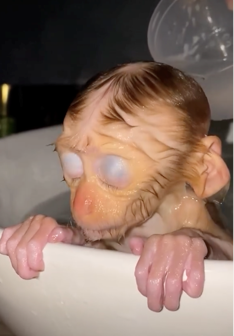 Cheezburger Image 10628068096