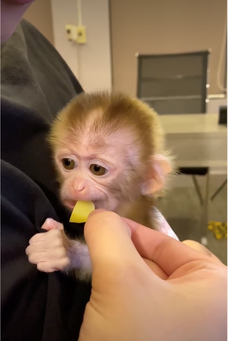 Cheezburger Image 10628068352