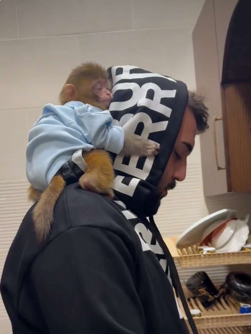 Cheezburger Image 10628069376