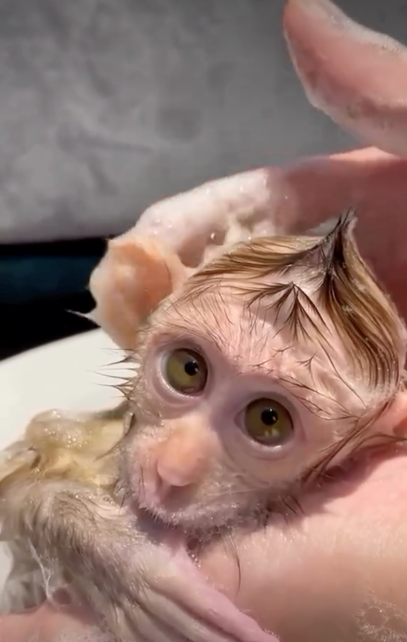 Cheezburger Image 10628069888