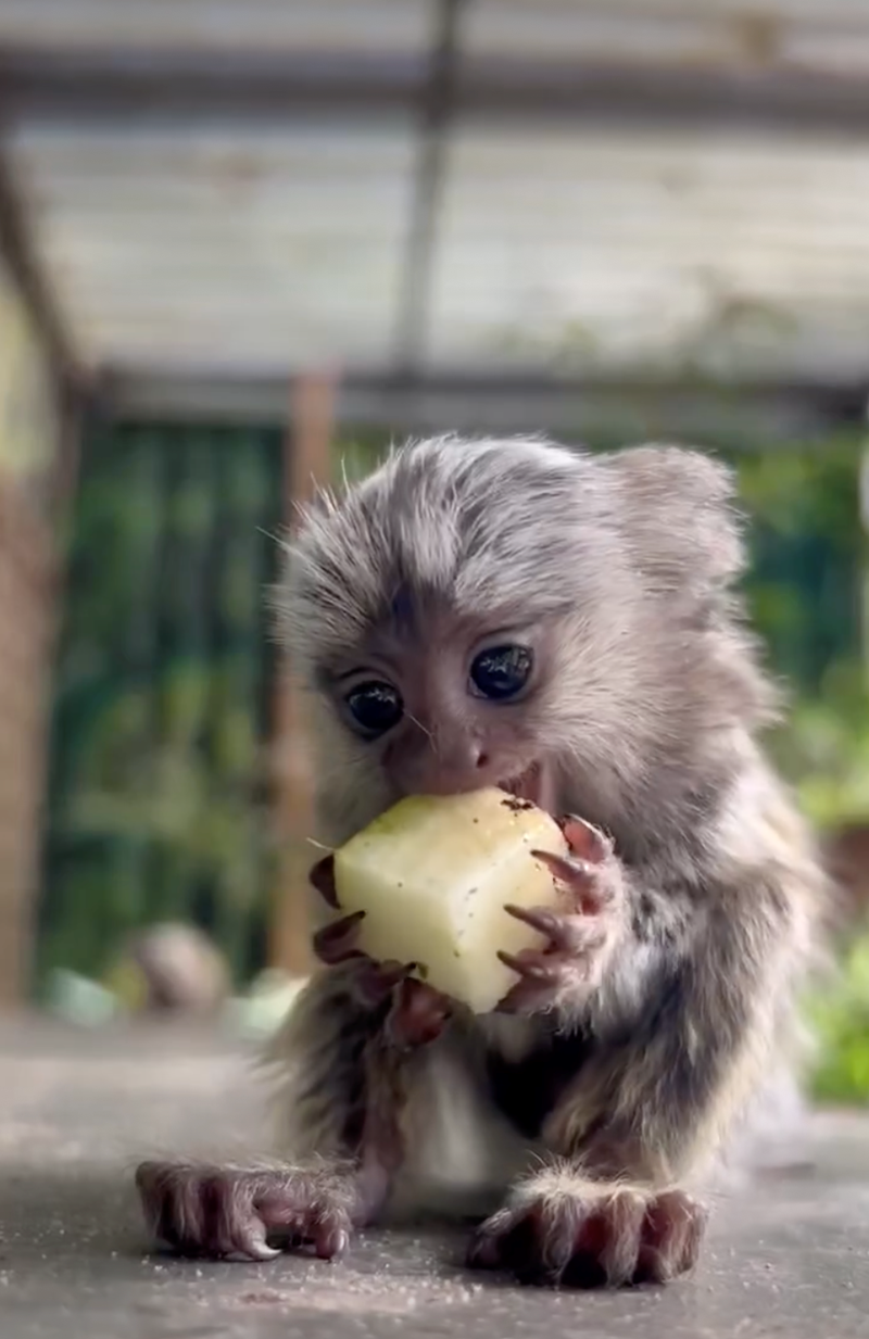 Cheezburger Image 10628070400