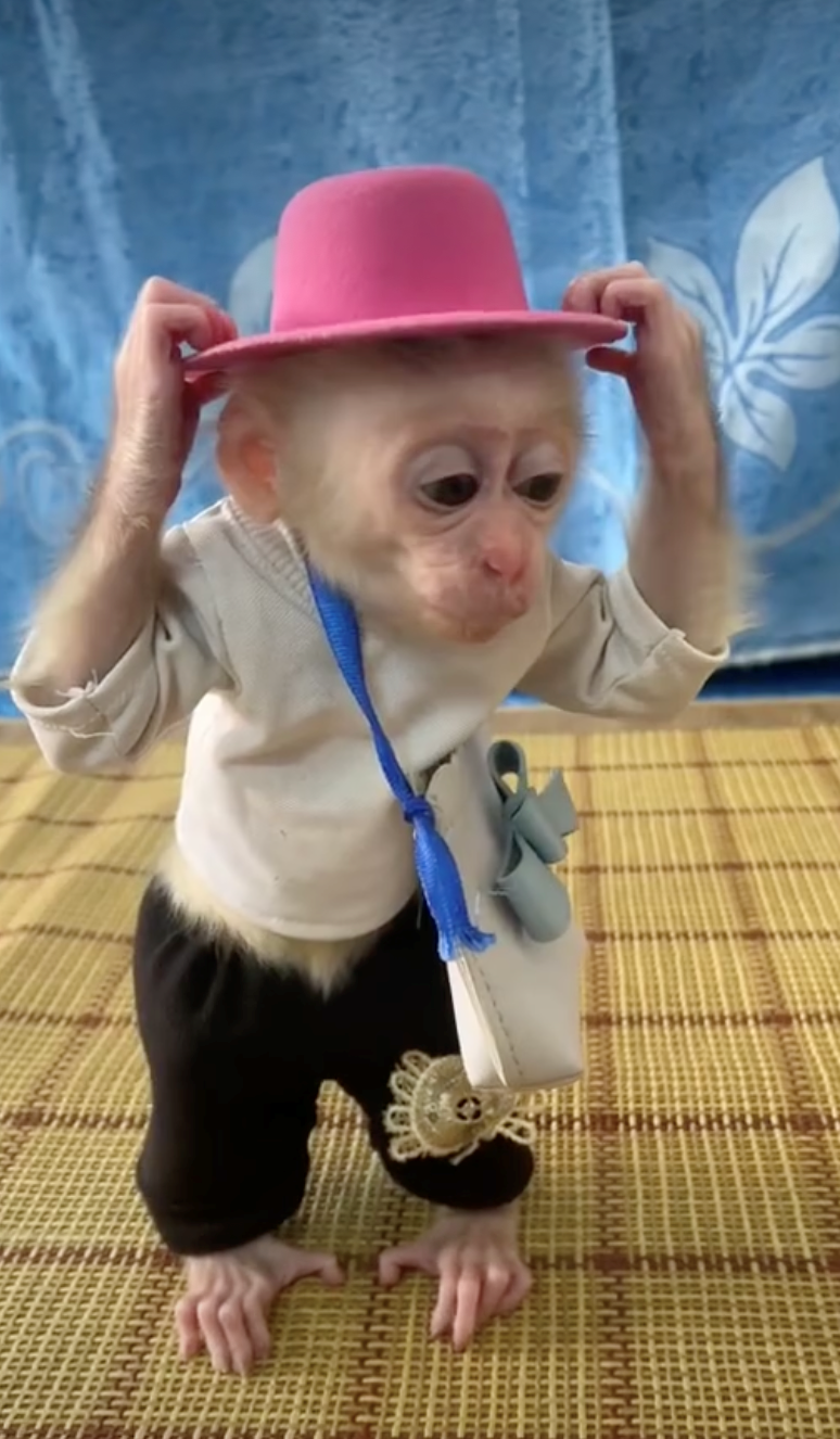 Cheezburger Image 10628071424