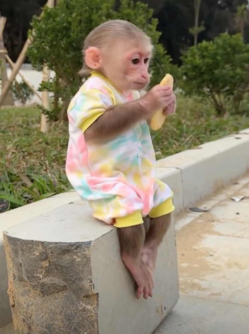 Cheezburger Image 10628071936