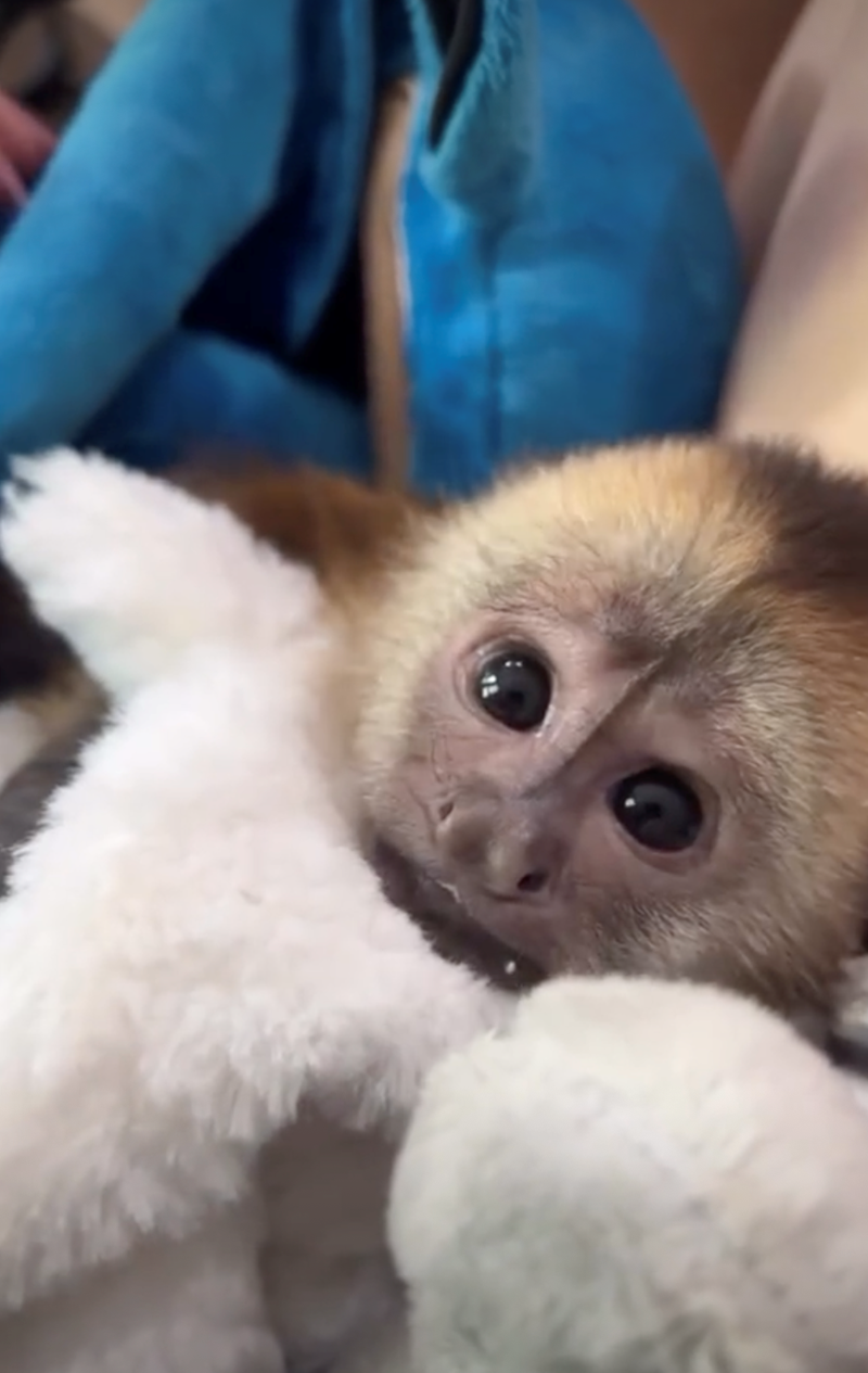 Cheezburger Image 10628072192