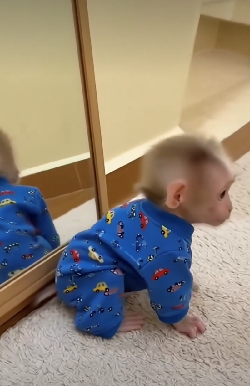 Cheezburger Image 10628073472