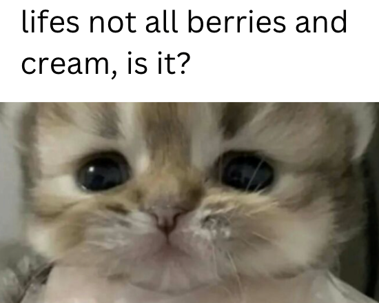 lifes not all berries and cream, is it?
