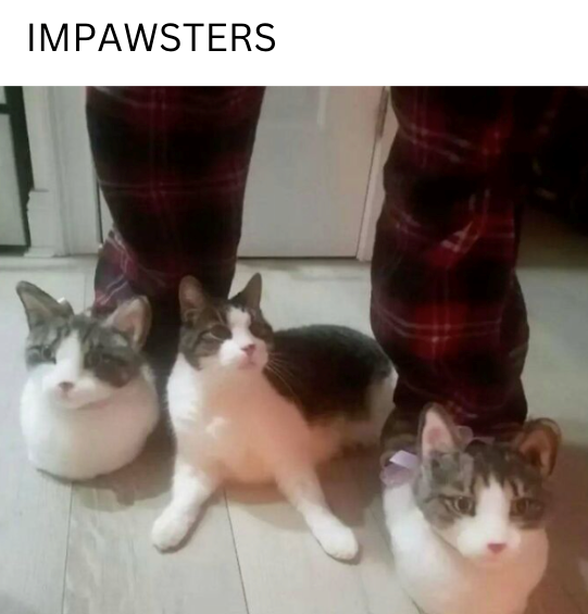 IMPAWSTERS