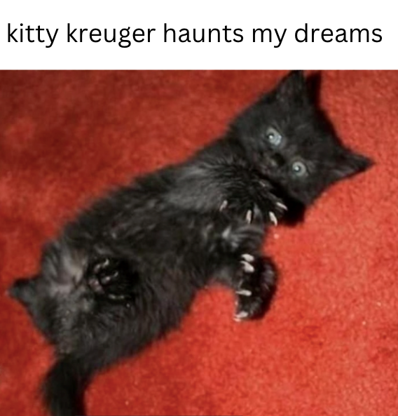 kitty kreuger haunts my dreams