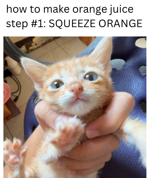 how to make orange juice step #1: SQUEEZE ORANGE