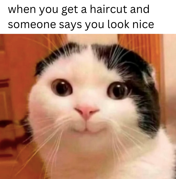 when you get a haircut and someone says you look nice