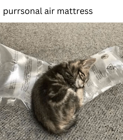 SLCE SACH purrsonal air mattress