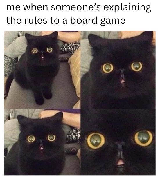 me when someone's explaining the rules to a board game