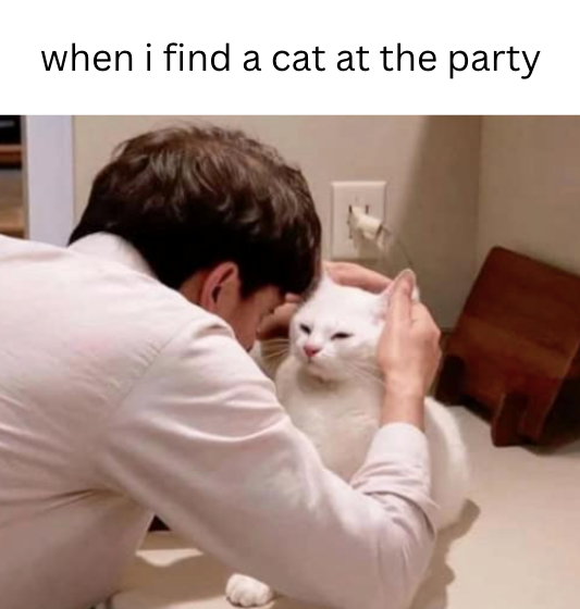 when i find a cat at the party