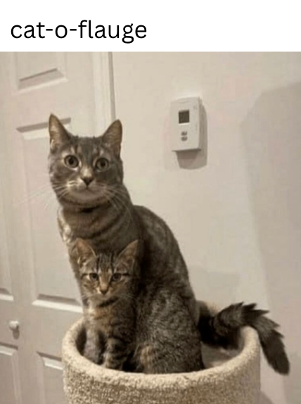 cat-o-flauge :
