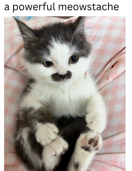 powerful meowstache