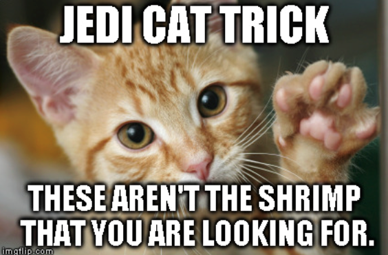 JEDI CAT TRICK THESE AREN'T THE SHRIMP THAT YOU ARE LOOKING FOR. imgflip.com