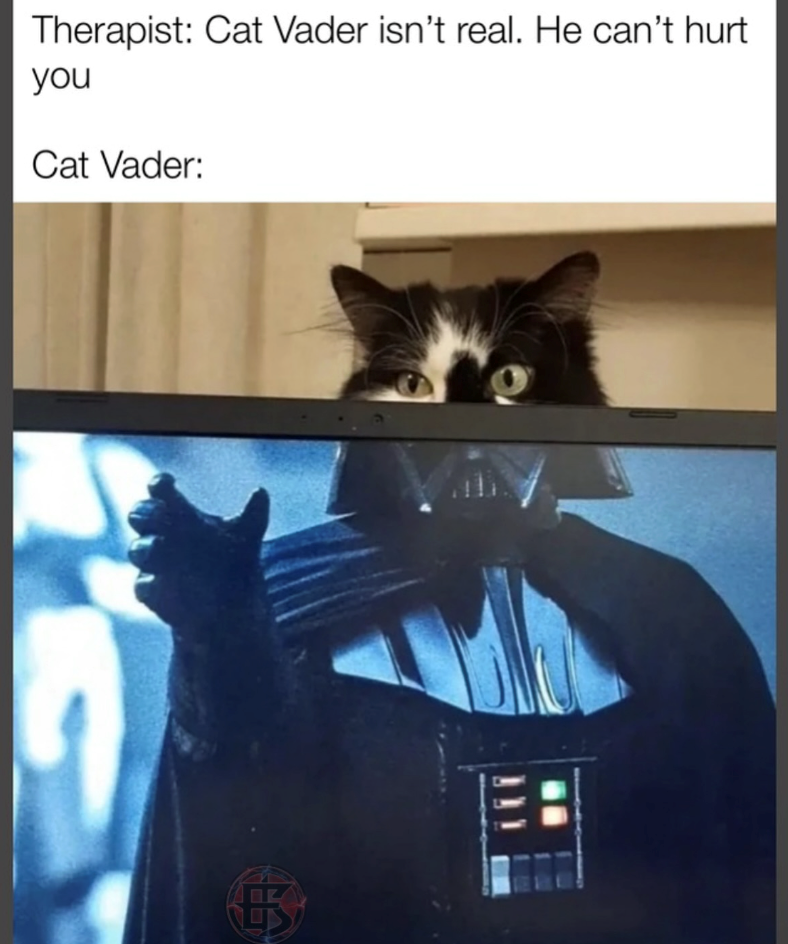 Therapist: Cat Vader isn't real. He can't hurt you Cat Vader: