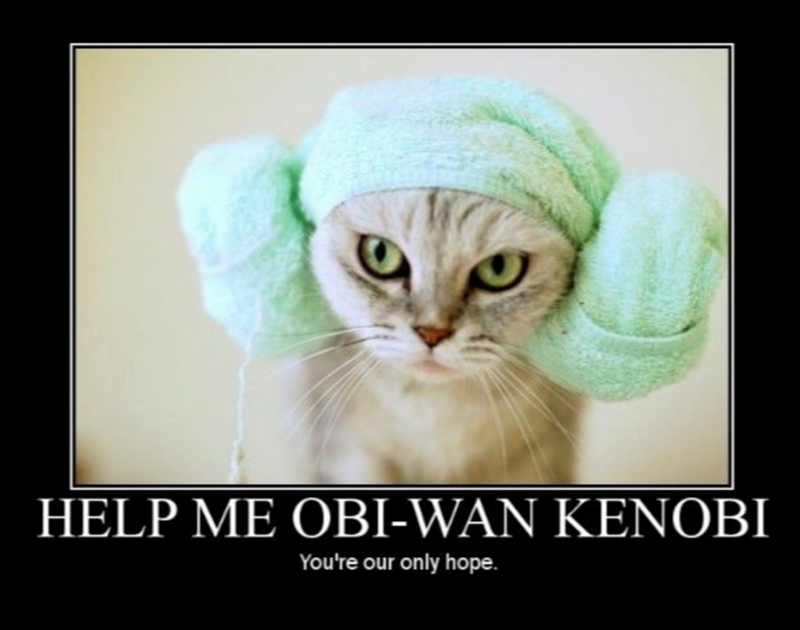 HELP ME OBI-WAN KENOBI You're our only hope.