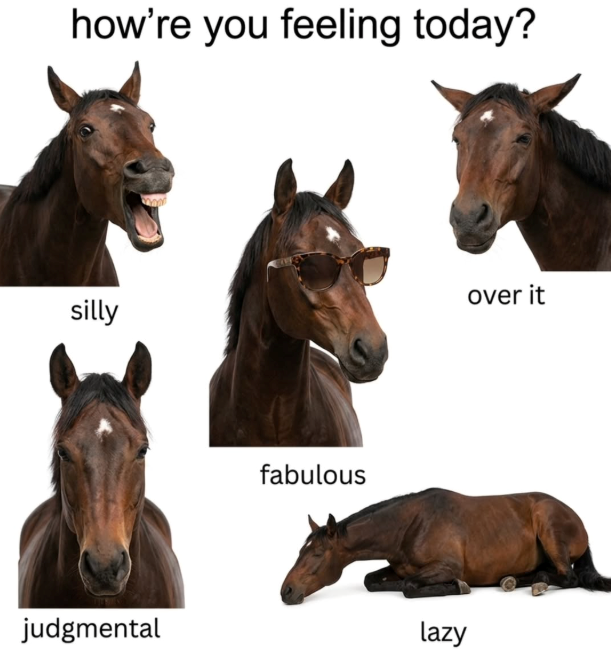 how're you feeling today? silly judgmental fabulous lazy over it