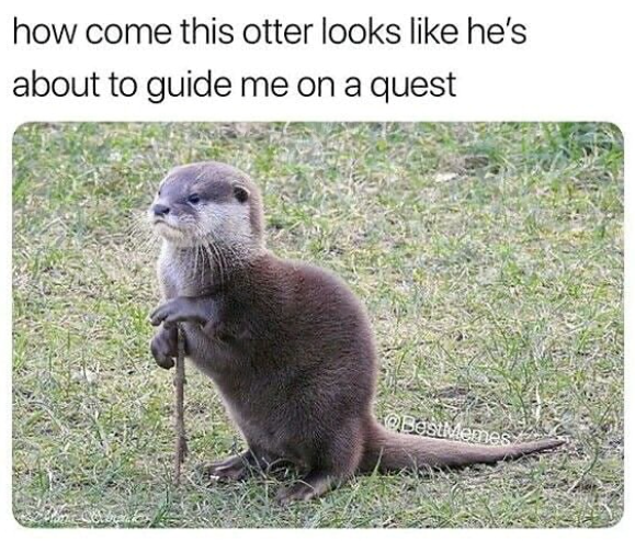 how come this otter looks like he's about to guide me on a quest @BestMemes