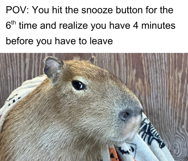 POV: You hit the snooze button for the 6th time and realize you have 4 minutes before you have to leave