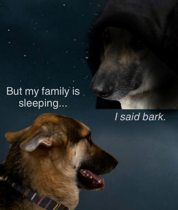 But my family is sleeping... I said bark.