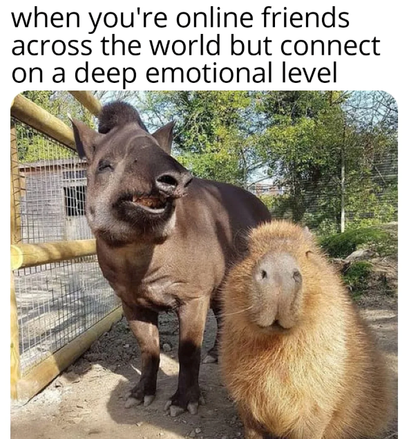when you're online friends across the world but connect on a deep emotional level