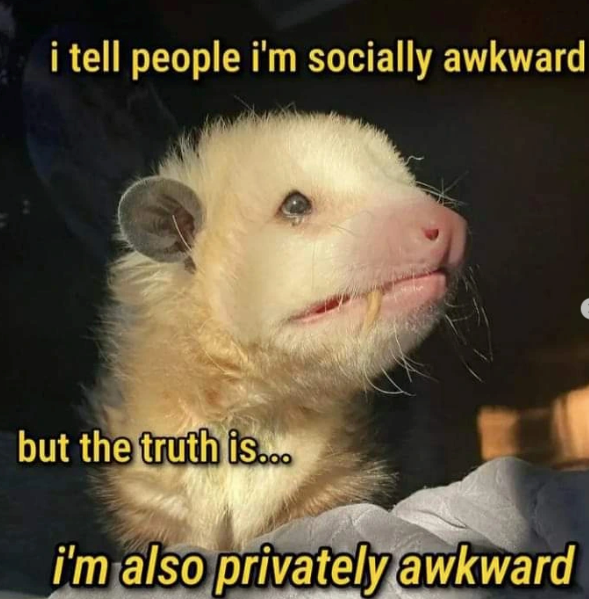 i tell people i'm socially awkward but the truth is... i'm also privately awkward