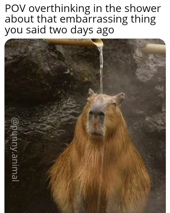 POV overthinking in the shower about that embarrassing thing you said two days ago @punny.animal