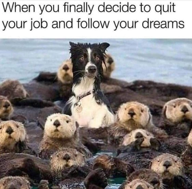 When you finally decide to quit your job and follow your dreams