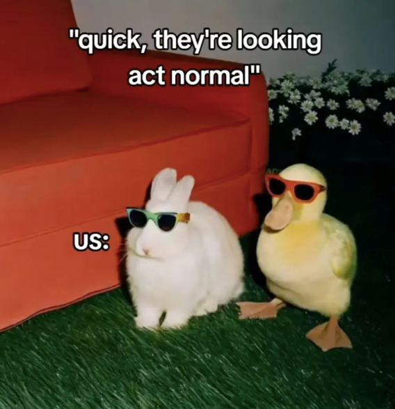 "quick, they're looking act normal" US: