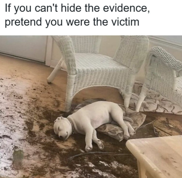If you can't hide the evidence, pretend you were the victim