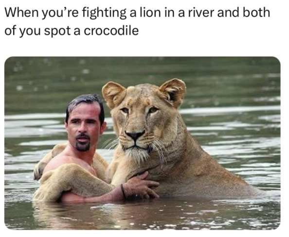 When you're fighting a lion in a river and both of you spot a crocodile