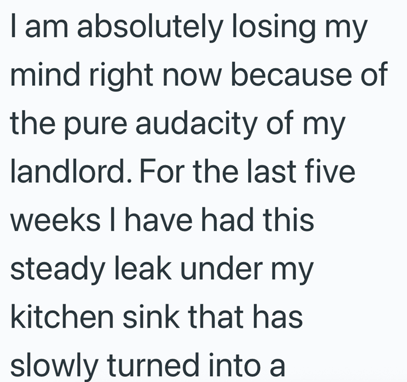 I am absolutely losing my mind right now because of the pure audacity of my landlord. For the last five weeks I have had this steady leak under my kitchen sink that has slowly turned into a